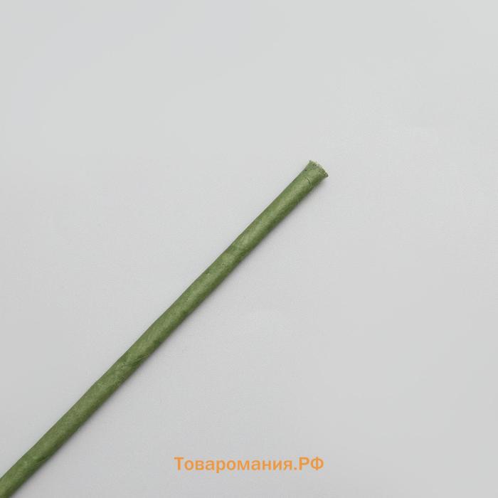 Проволока для изготовления искусственных цветов "Зелёная" длина 50 см сечение 5 мм