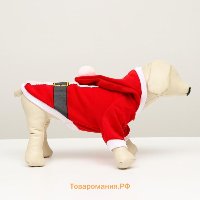 Новый год. Толстовка Santa, L (ДС 35, ОГ 45 см)