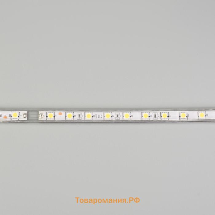 Светодиодная лента Ecola STD 14 × 7 мм, 100 м, IP68, SMD5050, 60 LED/м, 14.4 Вт/м, 220 В, 6000К