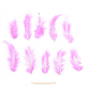 Набор перьев для декора 10 шт., размер 1 шт: 10 × 2 см, цвет розовый