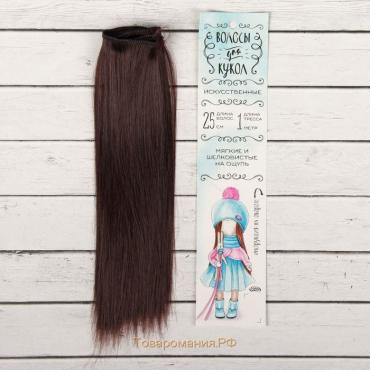 Волосы - тресс для кукол «Прямые» длина волос: 25 см, ширина:100 см, цвет № 6А