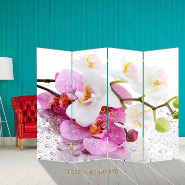 Ширма "Нежные орхидеи", 200 х 160 см