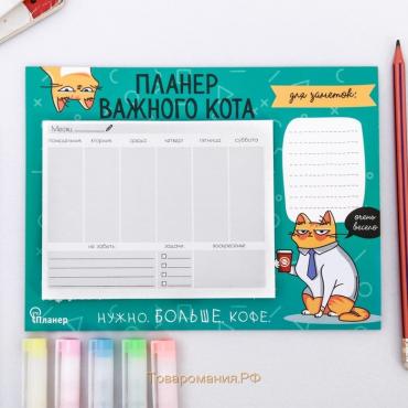 Планер на магнитах с отрывными листами "Планер важного кота", 50 л., 15 х 20 см (размер части для заполнения 10 х 13 см)