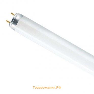 Лампа люминесцентная OSRAM L, Т8, G13, 58 Вт, 6500 К, 4000 Лм