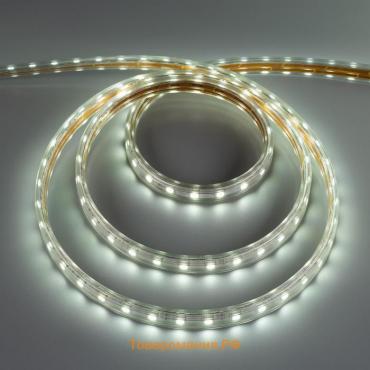 Светодиодная лента Ecola STD 14 × 7 мм, 100 м, IP68, SMD5050, 60 LED/м, 14.4 Вт/м, 220 В, 6000К